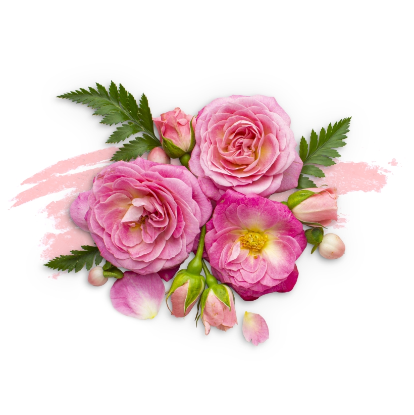 SANATIN  <span>ZERAFETİ</span>