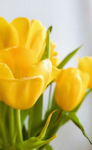 DOĞADAN  <span>ALINAN İLHAM</span>