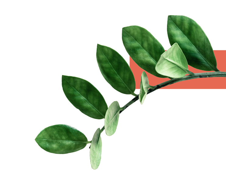 DOĞADAN  <span>ALINAN İLHAM</span>